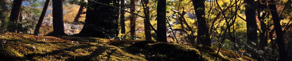 The Blog of Alaska